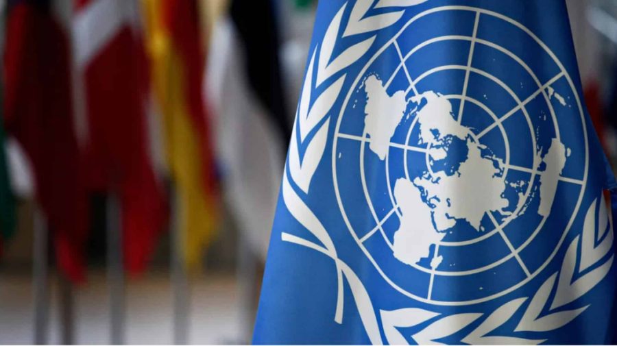 ONU: Condamnarea lui Evghenia Guțul este o chestiune internă a Republicii Moldova
